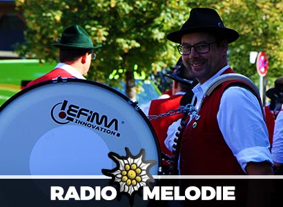 Cover von Die Schwarzensteiner